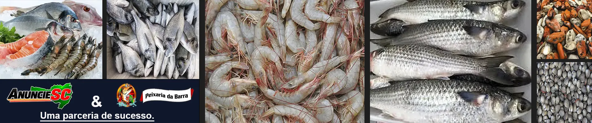 Peixaria da Barra